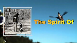 Cloud Nothings - The Spirit Of (Lyrics)