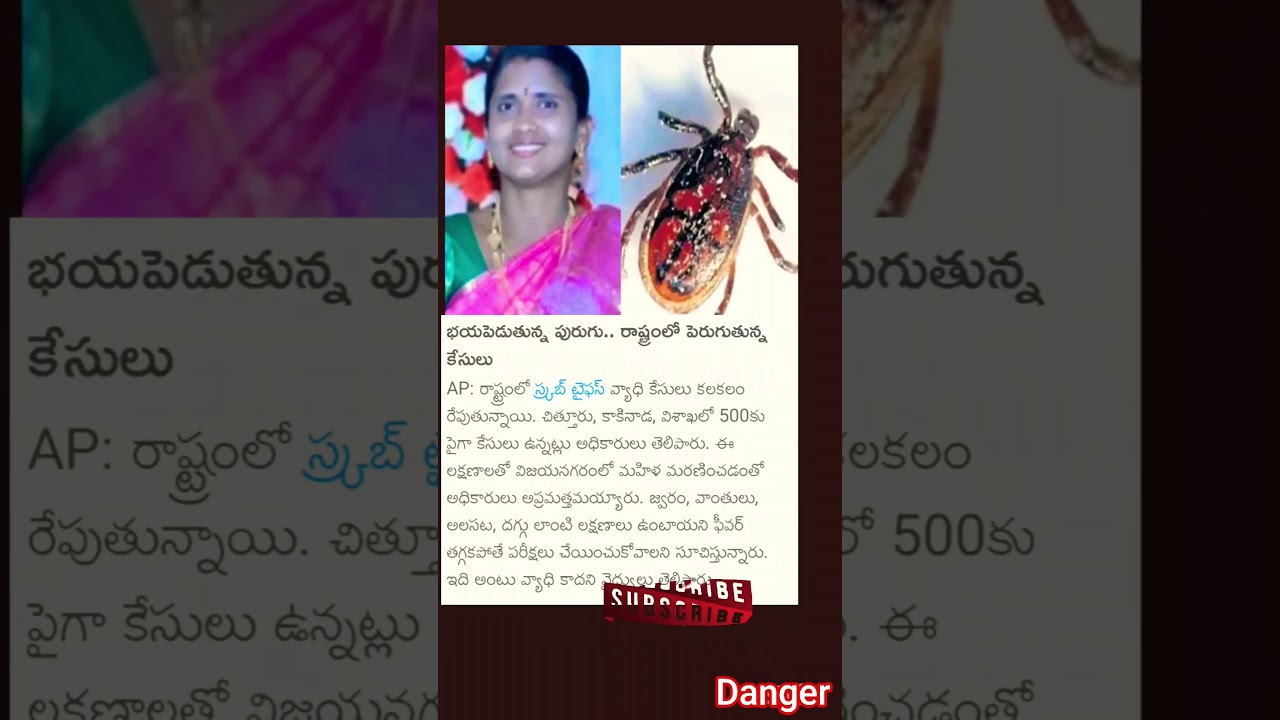 ఈ పురుగు తో జాగ్రత్త! 