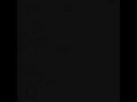 The Misfits - Bullet