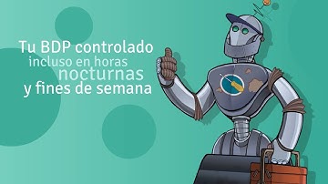 Mantenimiento BDP NET soporte técnico