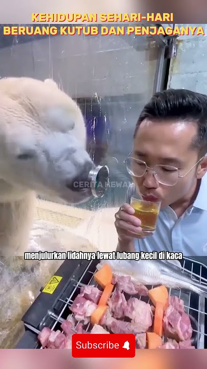 Polar Bear VS His Guard WHAT'S THE BEST CHOICE FOR SURVIVAL?
