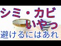 作家もの食器を使ってたらカビやシミが出て使えない！どうしたらいいとおっしゃるあなたにはこれ！