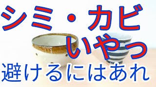 作家もの食器を使ってたらカビやシミが出て使えない！どうしたらいいとおっしゃるあなたにはこれ！