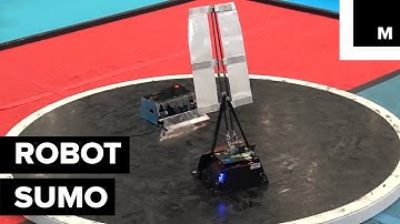 Robot-Sumo Is an Actual Sport and It
