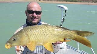 Catching carp on a leadhead with plastic grub screenshot 5