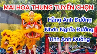 TUYỂN TẬP MAI HOA THUNG: Hằng Anh Đường- Nhơn Nghĩa Đường- Tinh Anh Đường| Best Acrobatic Lion Dance