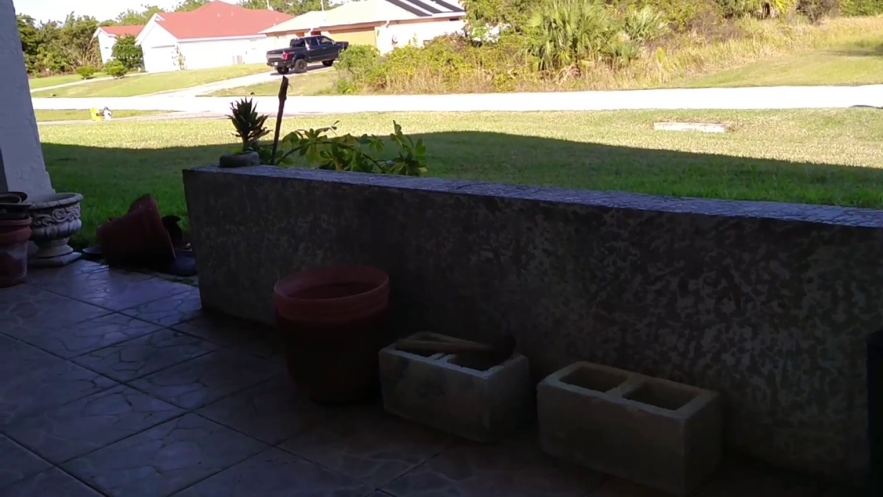 1080p Nextbit Robin camera test