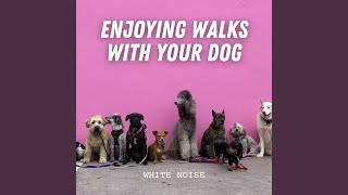 Soothing Paws in the Park