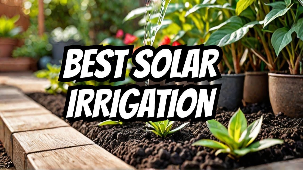 Best Solar Drip Irrigation Kit? JIYANG Automatic Watering System Review ...