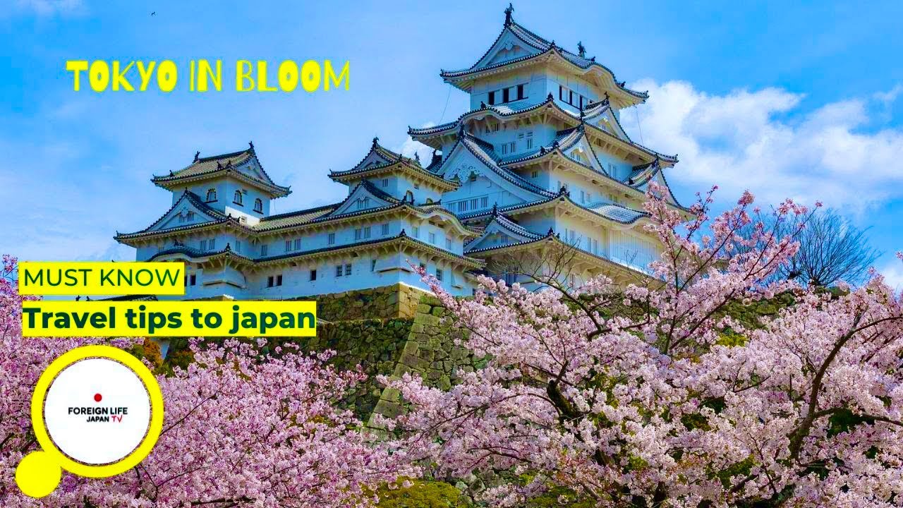 Best Cherry Blossom Spots in Tokyo 🌸 Local Sakura Guide