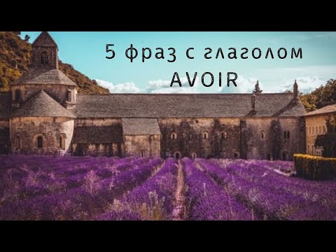 5 фраз на французском языке с глаголом avoir