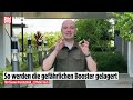 Ariane 6 in Kourou: BILD-Reporter im Weltraumbahnhof Europas mitten im Dschungel | BILD-DOKU