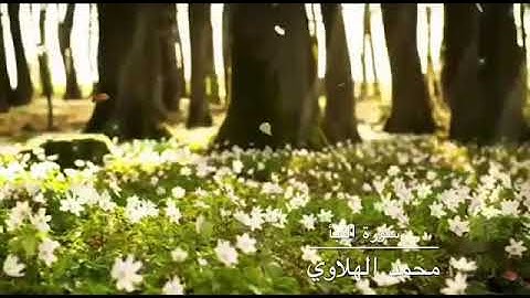 سورة النبأ للقارئ محمد الهلاوي