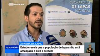Telejornal Madeira de 24 Ago 2019 - Lapas