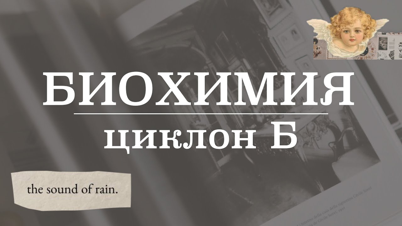 Циклон Б (механизм действия, холокост, газовые камеры) | Биохимия - YouTube