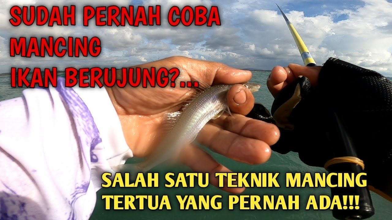 SENI MEMANCING IKAN BERUJUNG||  salah satu teknik mancing tertua yang pernah ada!