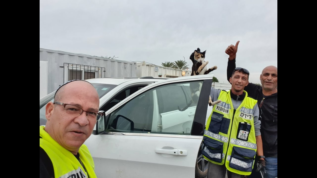 הזוי: חתול פלש לרכב ונעל את עצמו בפנים