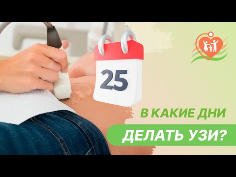 📅  В какие дни менструального цикла можно делать УЗИ?