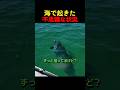 海で起きた不思議な状況www