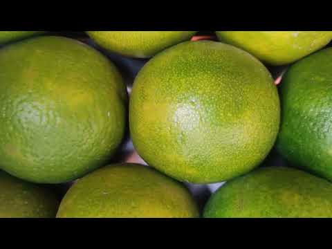 Mausami Fruit