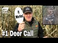 #1 Deer Hunting Call