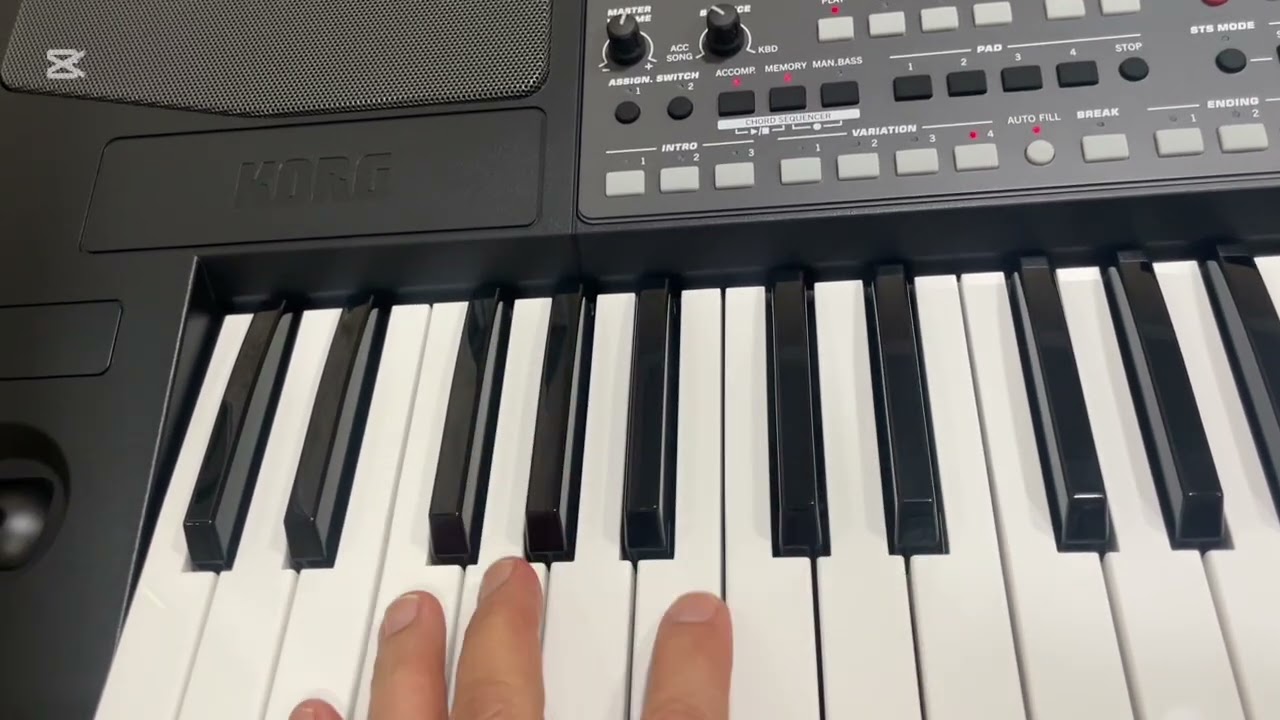 DARSLIK !!!  KORG PA 600 #korgpa600 