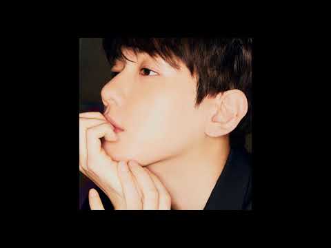 HIDDEN VOCALS BAEKHYUN Bambi 