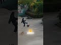 Epic Showdown Woman Vs Angry Rooster 