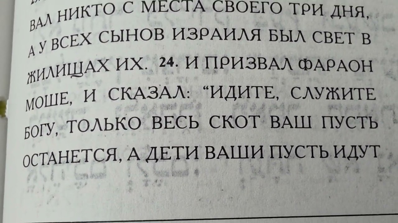 Respect # 2414תורה, פרשת בא י א: א-ג ברוסית Torah, Parashat Come on. А: 1-4, In Russian.