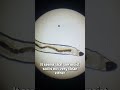 Have you ever wondered what’s living in the moist soil right under your feet?