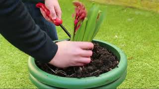 Set of 2 Small & Large Cultimate Weeder by the GrouchyGardener on QVC