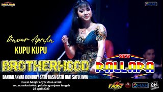 🦋 KUPU KUPU 🦋 - MAWAR APRILIA - NEW PALLAPA -  LIVE BROTHERHOODS 2023