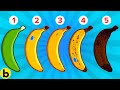 Which Banana Would You Eat?