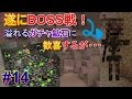 【マインクラフト】無限のガチャ鉱石！しかし、そこにはボスが・・・~Caveworld2~ #14