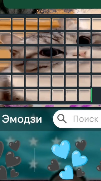комару #кошка #комару #komaru#komary#милота - YouTube