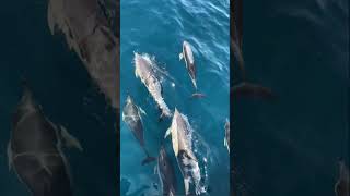 sahiba 😇 #song #music #love