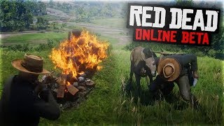 RED DEAD 2 ONLINE : STRANGERS & FREAKS!