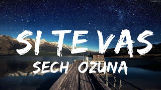 Sech, Ozuna - Si Te Vas (Letra/Lyrics) | 30 минут расслабляющей музыки