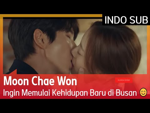 Moon Chae Won Ingin Memulai Kehidupan Baru di Busan 😊 #FlowerOfEvil 🇮🇩INDO SUB🇮🇩