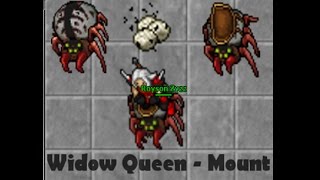 Tibia - Widow Queen Mount #4  (Jak złapać Mounta)