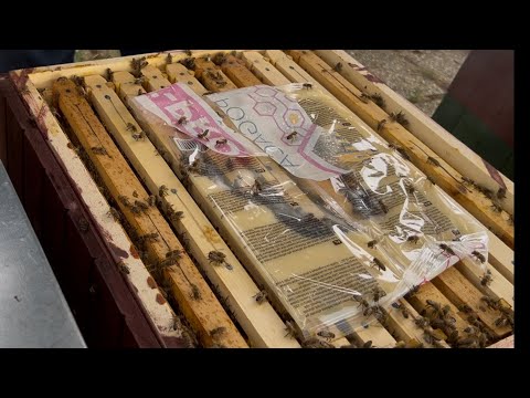 658. Podnecovanie s vyšším obsahom bielkovín