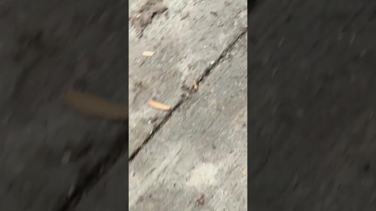 My Testimony pt. I [God is the proof of our existence]