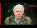 Sir david attenborough on the devastating truth about coral reefs