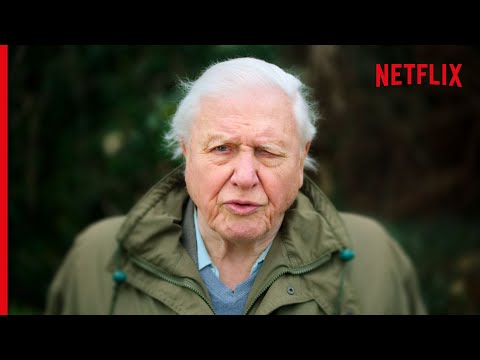 Sir David Attenborough On The Devastating Truth About Coral Reefs