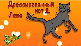 Кот очень любит выполнять команды. Дрессированный кот1. Каджое утро во время завтрака развлекает нас