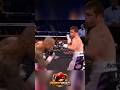 Miguel Cotto vs Canelo Alvarez