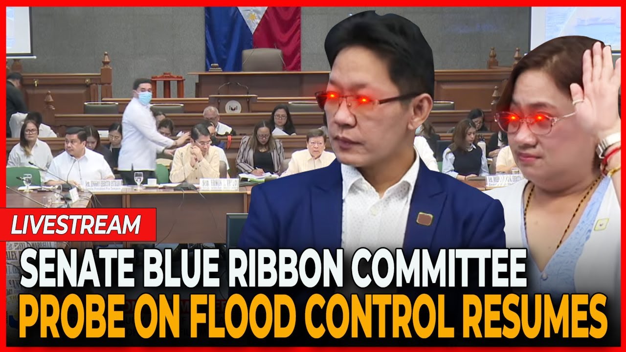🔴 LIVE - Senate Blue Ribbon Committee probe on flood control projects ...