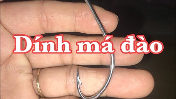 Lưỡi câu cá lóc móng heo siêu nhạy | Anh Bảy Thép 0913260614 | fishing hook | snakehead fishing