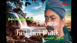 Turi - Turi Putih ( akustik ) tembang jawa