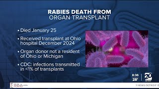 Michigan Resident Dies Of Rabies After Receiving Organ Transplant In Ohio